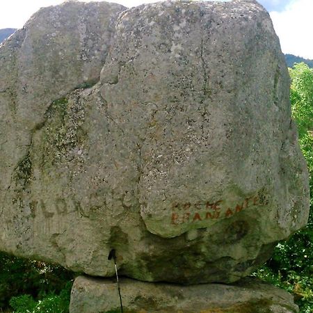 Lilas, Gite Saint Antoine, Orcival, Entre Sancy Et Volcans. Kültér fotó