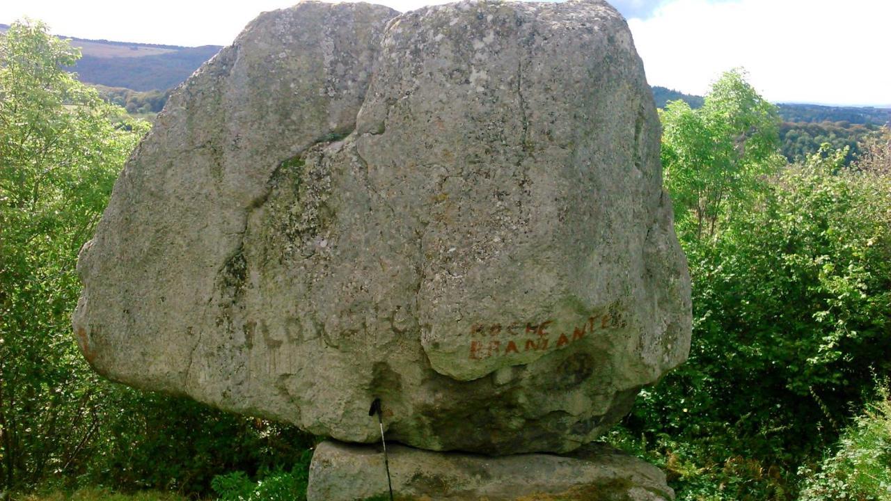 Lilas, Gite Saint Antoine, Orcival, Entre Sancy Et Volcans. Kültér fotó